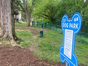 Dog park
